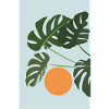 Monstera Sunset