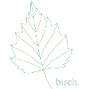 Birch.