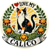 J’adore mon Calico