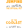 Jumping Spiders Jumping Spider Gift