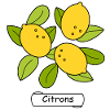 Citrons