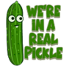 Cucumber Pickle Cucumbers Pickles