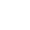 Lion Lion Head