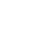 Lion Lion Head