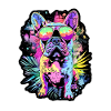 Petit bouledogue