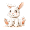 My Rabbit