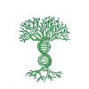 Genealogy Genealologists Genealogy Genealogy