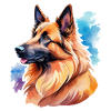 Berger Belge Aquarelle