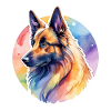 Berger Belge Aquarelle