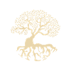 Genealogy Genealologists Genealogy Genealogy
