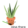 Aloe There