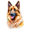 Berger Belge Aquarelle