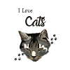 LoveCats