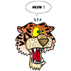 Tiger meowing