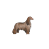 Afghan Hound Gifts