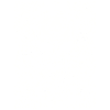 pirate skull