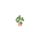 heartbeat flower pot