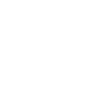 Koch Skull