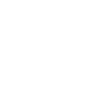 Pirate Skull
