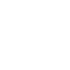 Crâne Viking Odin