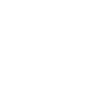 Chief Skull