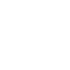 Punk Skull