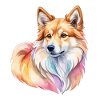 Chien islandais Aquarelles