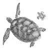 Seaturtle Poster