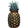 Ananas Frucht Geschenk