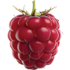 Himbeere Frucht Geschenk
