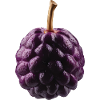 Passionsfrucht Geschenk