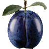 Brombeere Frucht Geschenk