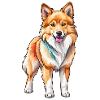 Chien islandais Aquarelles