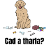 Cad a tharla Madra?