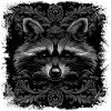Raccoon Art