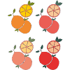Orange Citrus