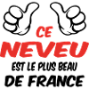 MEILLEUR NEVEU