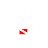 Diver Icon Diving
