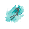Freediving Underwater Sea