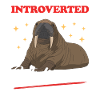 Walrus Walrus Walrus Walrus Gift