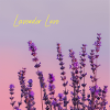 Lavender Love