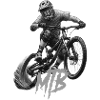 MTB Bike