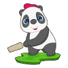Panda Cricket Battes de cricket