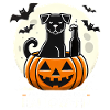 En attendant l’Halloween