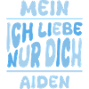 Aiden