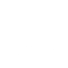Journalist