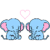 Elephant Love