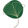 Ginkgo