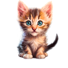 Cute kitten