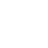Owl Owls Bird